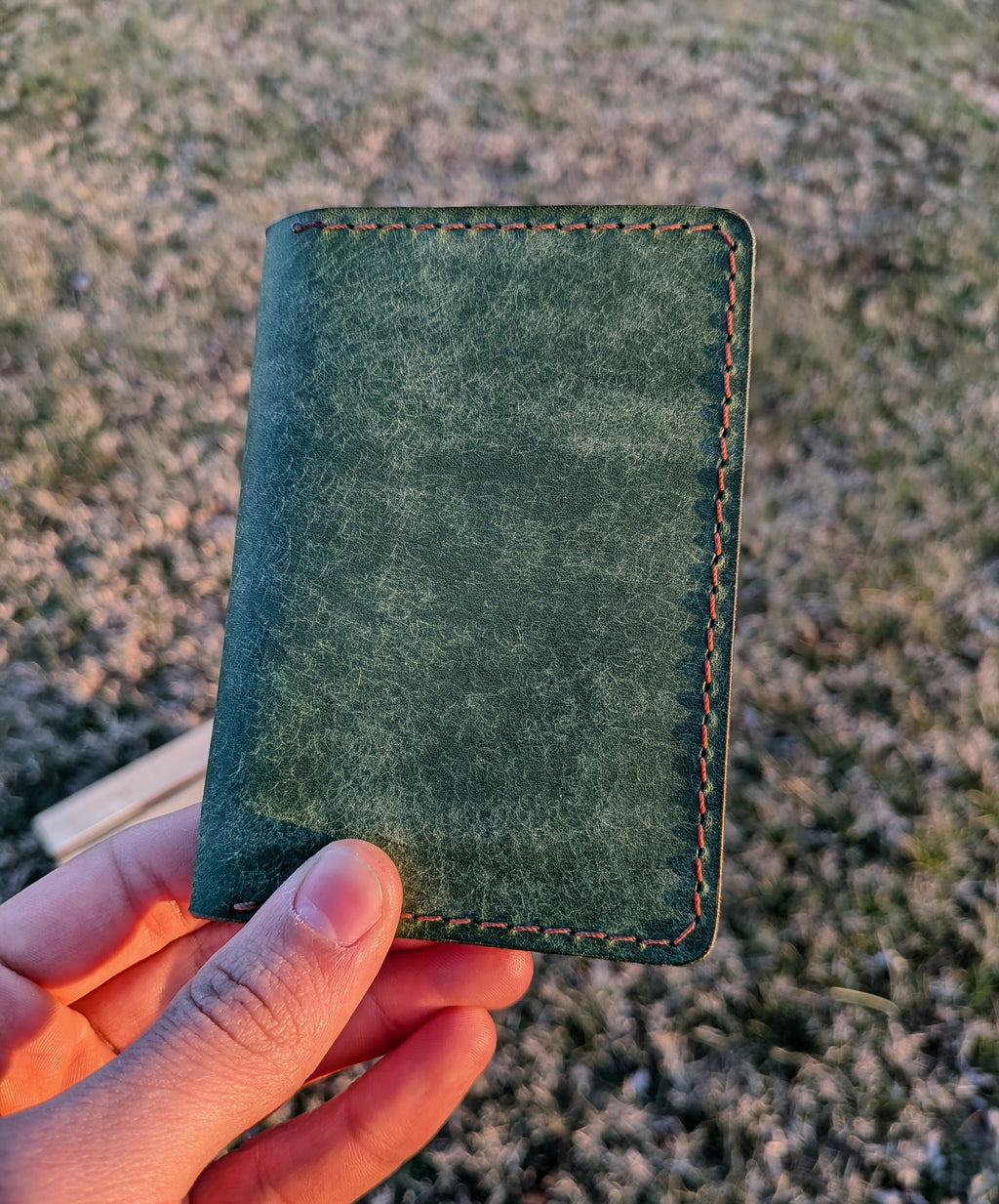 The Pioneer - Forest