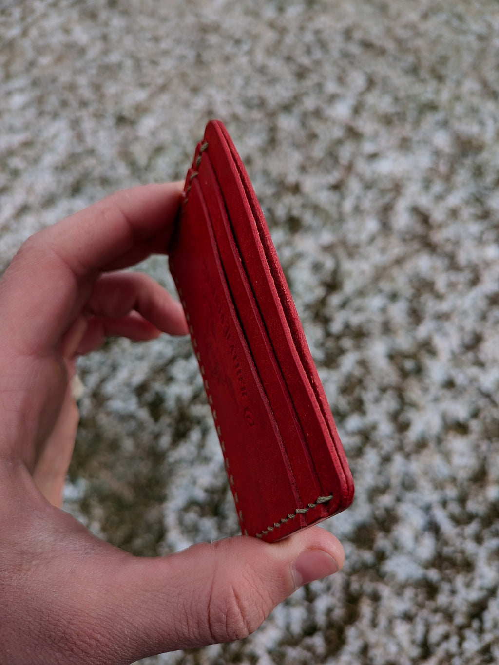 Erwin Card Wallet - Red w/ Pistachio