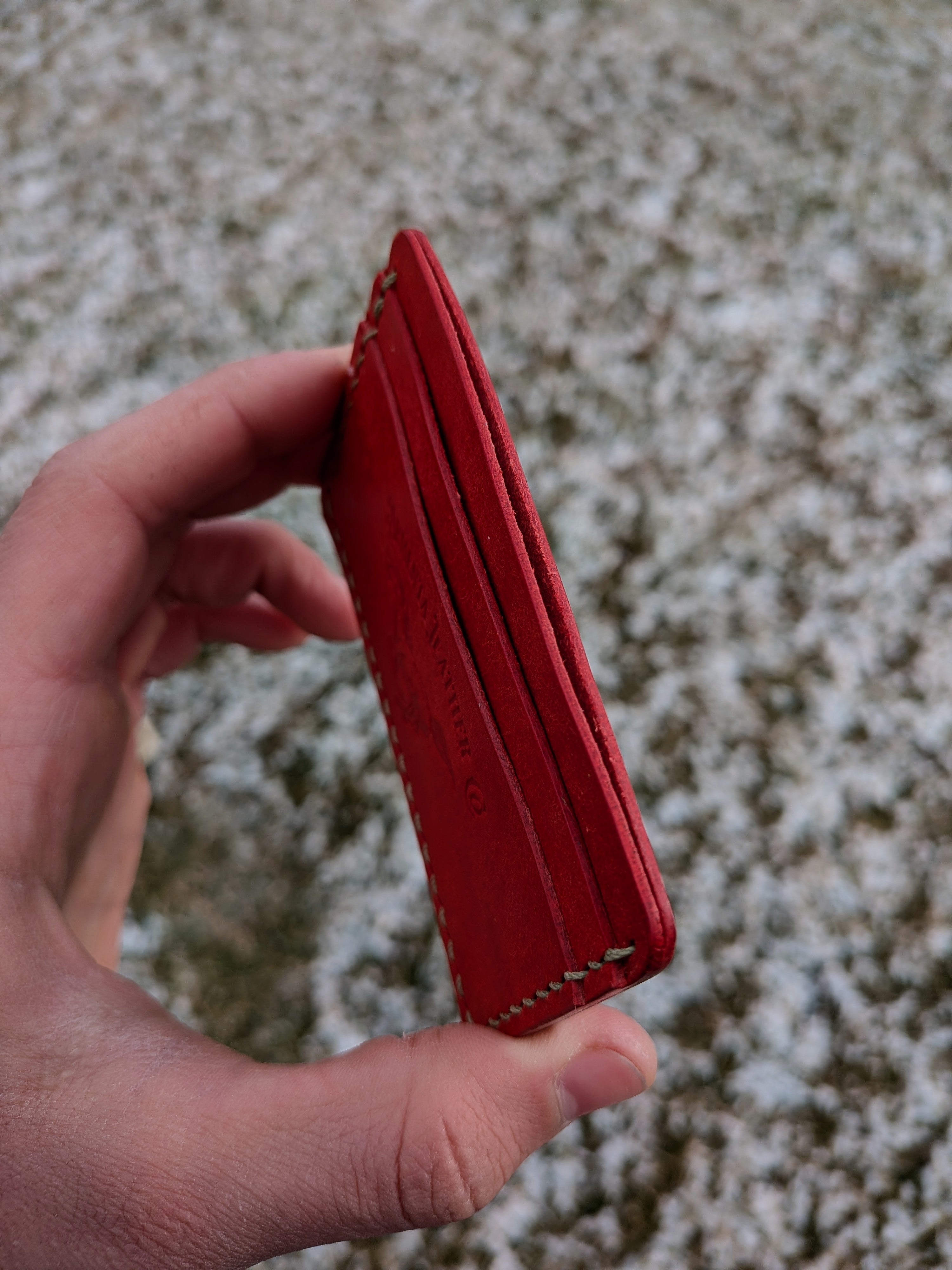 Erwin Card Wallet - Red w/ Pistachio